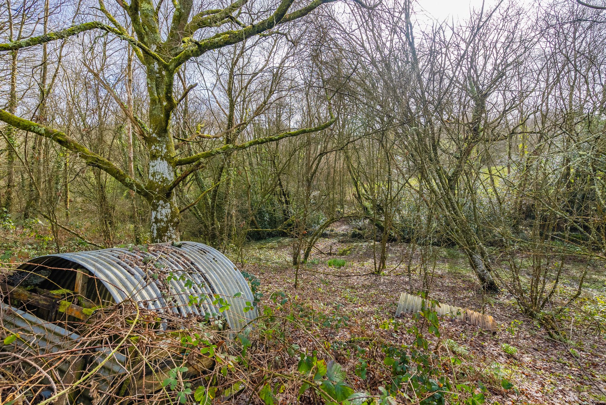 Yeoford, Crediton, EX17 Helmores