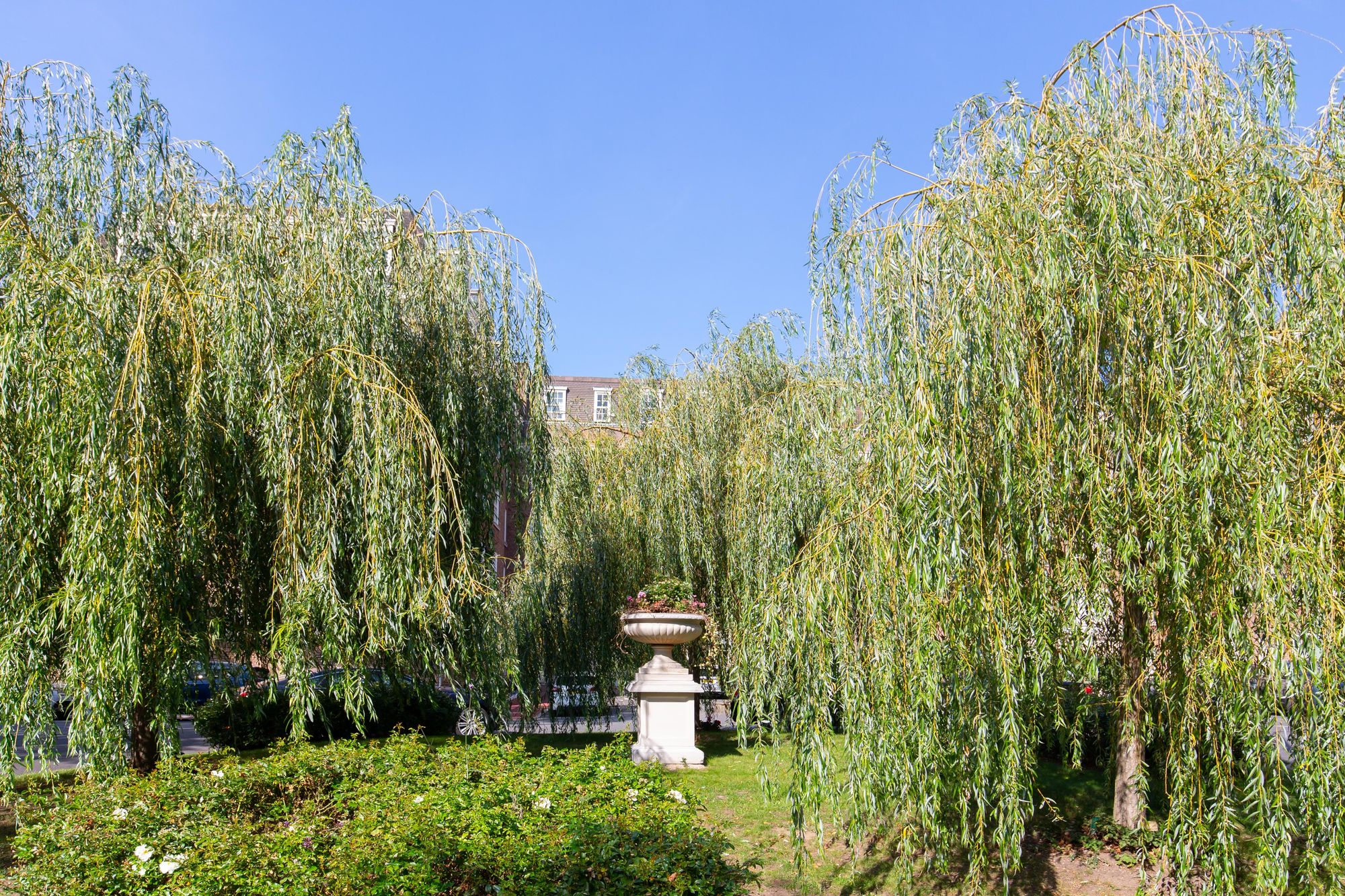 St Johns Wood Web 23