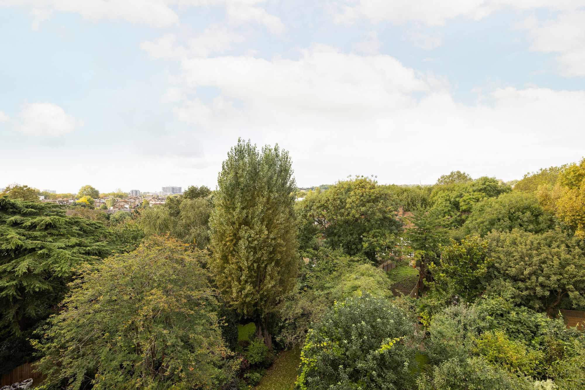 Story Of Home - 29 Dartmouth Park Avenue - 39_Hi