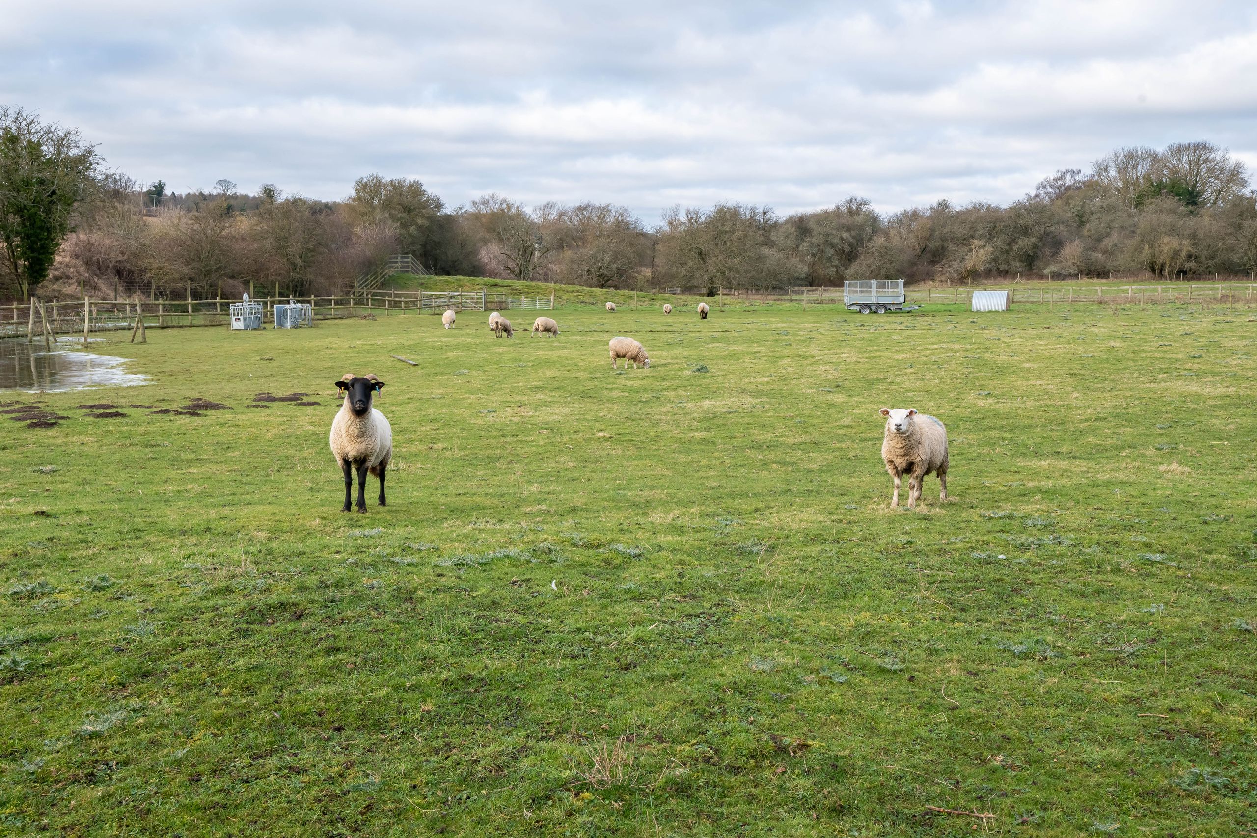 Adjoining countryside